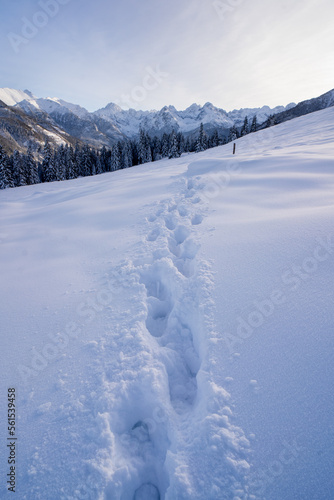 Fototapeta Naklejka Na Ścianę i Meble -  Footprints in the deep snow. Winter in Tatra Mountains. Poland. Winter adventure concept.