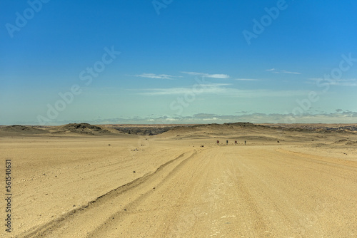 sand road through the moon landscape landscape near Swakopmund  Namibia