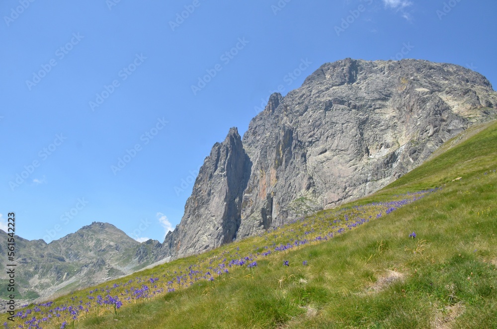 Obraz premium Paysage pyrénéen