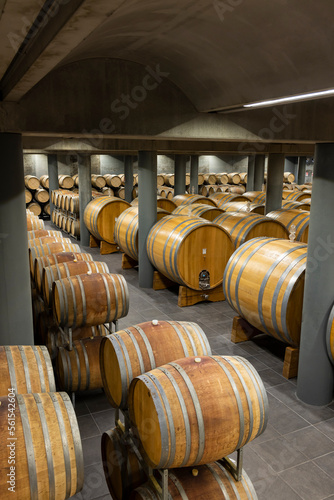 wine cellar full of wooden barrels in Barolo, Piedmont, Italy © Richard Semik