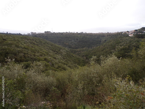 paisagem com duas montanhas que formam um vale coberto de vegetação e árvores verdes photo