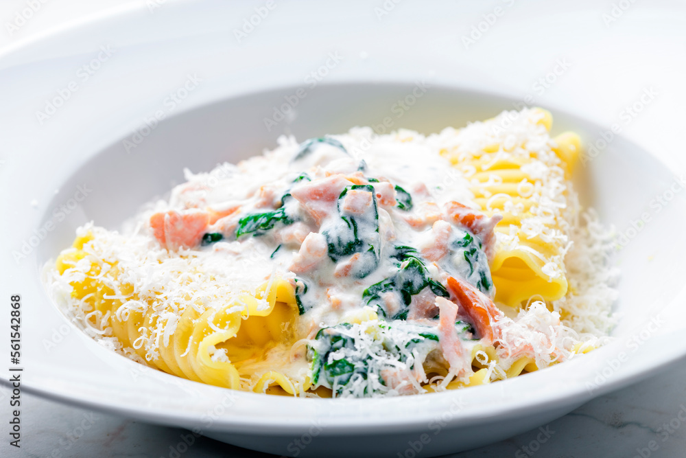 pasta with creamy salmon sauce with spinach pasta with creamy salmon sauce with spinach