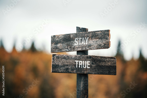vintage and rustic wooden signpost with the weathered text quote stay true, outdoors in nature. blurred out forest fall colors in the background.