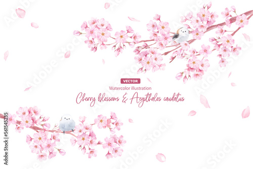 春の花：さくらと散る花びらのフレーム。左右から伸びる枝とエナガの水彩イラスト。（ベクター。レイアウト変更可能） 