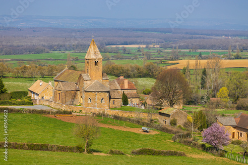 Spring landscape with cows and eglise Notre Dame de Lancharre  Bourgogne  France