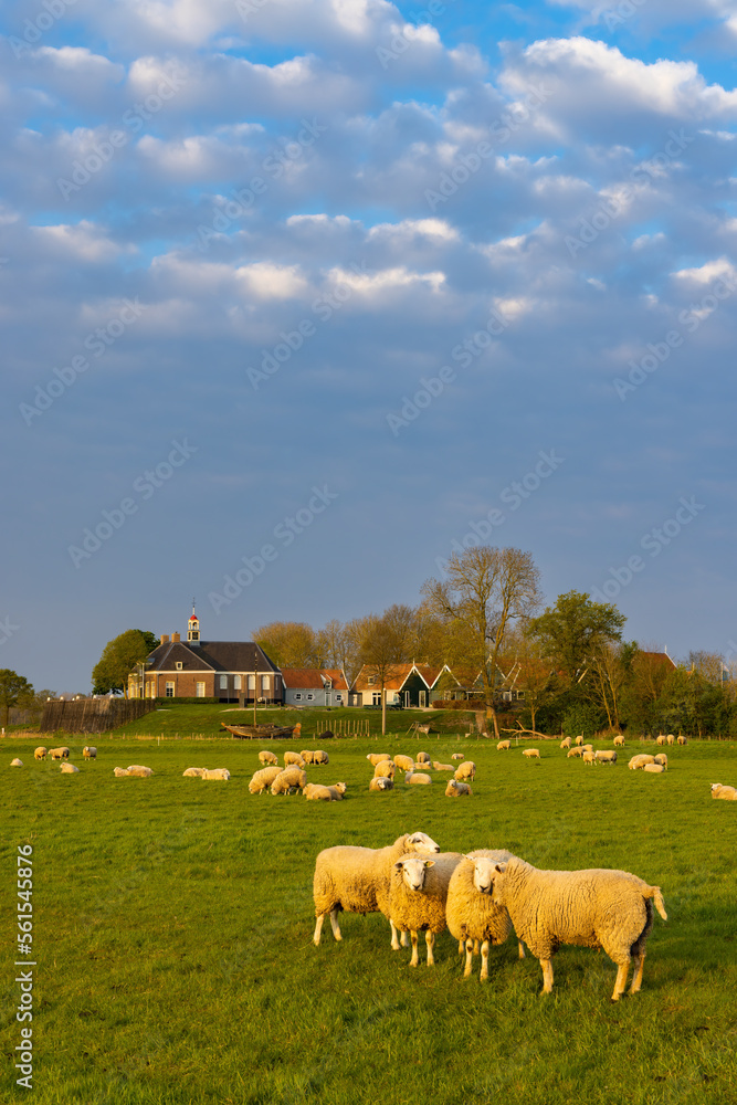 Fototapeta premium Former island of Schokland, UNESCO World Heritage Site, Netherlands