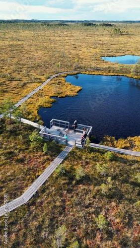 Vertical video: Aerial view to swamp and Nordic Forest