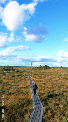 Vertical video: Woman walks on the path to the swamp
