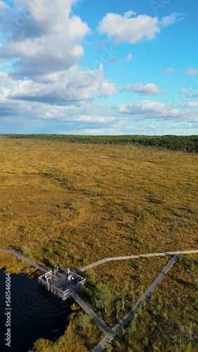 Vertical video: Aerial view to swamp and Nordic Forest