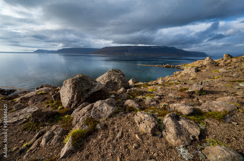 Magnificent view of rocks on the coast of a fjord in the Westfjords in Iceland, Europe, stock photo