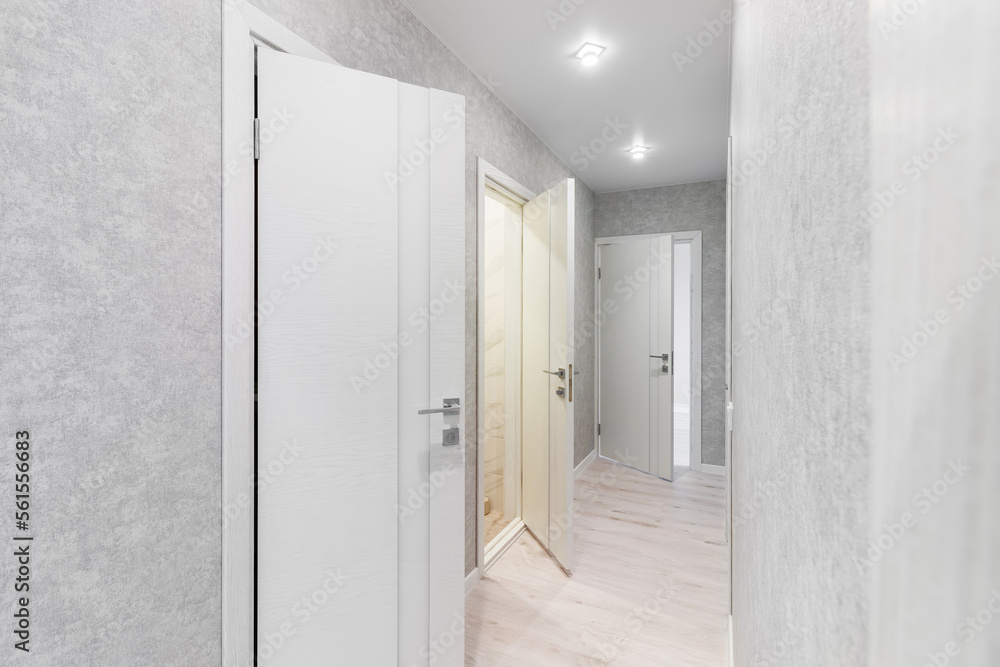 Corridor in with white walls and doors in the apartment Corridor in with white walls and doors in the apartment