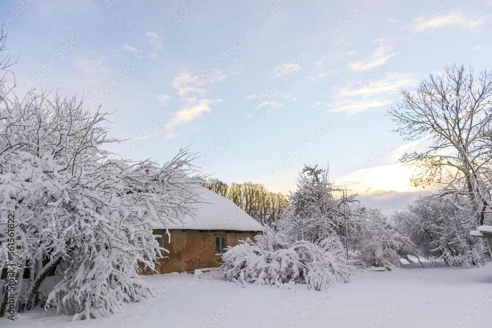 Snow-covered tree branches on a winter day with a boulder house and an electric pole against a blue and cloudy sky Snow-covered tree branches on a winter day with a boulder house and an electric pole against a blue and cloudy sky