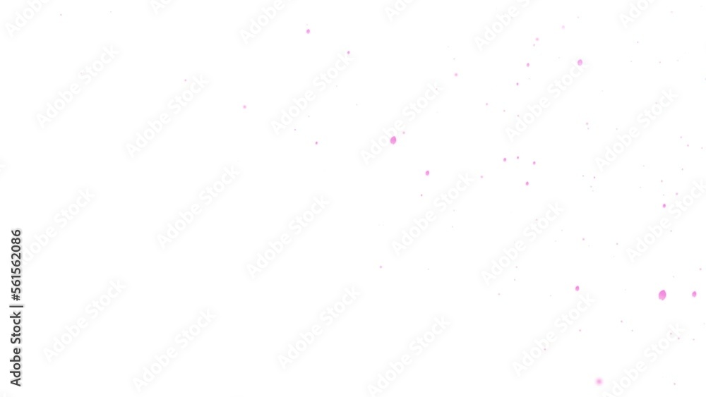 右上からゆっくりと回転しながら降ってくる桜の花びらのアニメーション素材(白背景) 右上からゆっくりと回転しながら降ってくる桜の花びらのアニメーション素材(白背景)