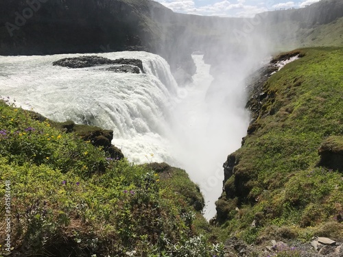 waterfall in Iceland with greenery 