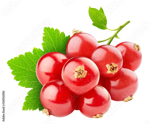 Tableau sur toile Bunch of red currants cut out