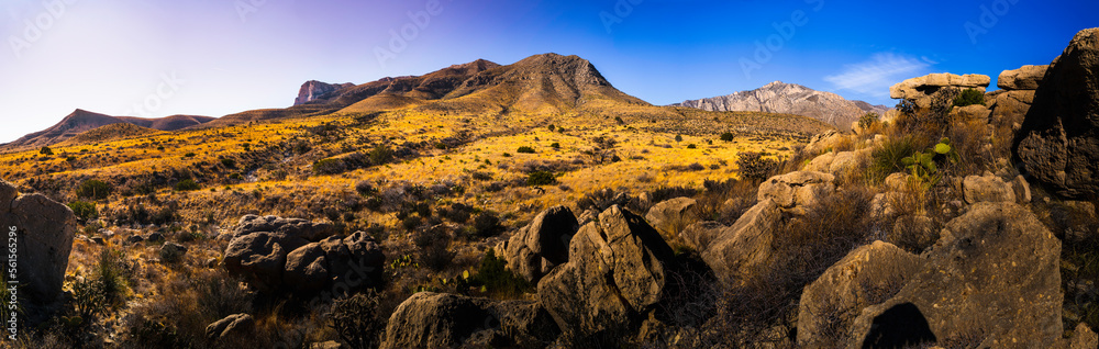Guadalupe Mountains National Park wilderness landscape at cloudy twilight, with views of El captain, Guadalupe Peak, and Hunter Peak over volcanic rocks on Pine Springs Meadow in Salt Flat, Texas, USA