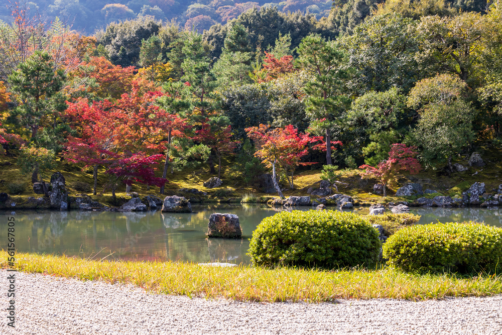 庭園