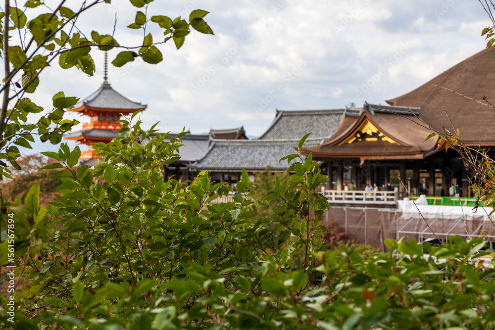 寺