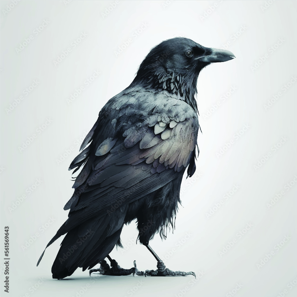 Fototapeta premium Crow isolated in white Background, AI Art