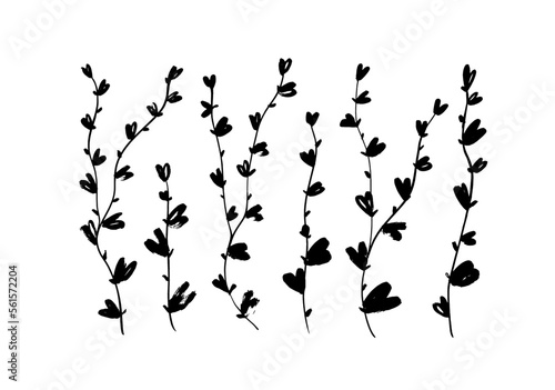 Curved thin branches with small leaves isolated on white background. Heart shape leaves on vertical liana stems. Botanical stylish elements, brush drawn vector plants. Hand drawn foliage silhouettes.