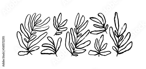 Abstract outline leaves and branches isolated on white. Hand drawn black brush painted branches with rounded leaves collection. Eucalyptus, basil or olive modern vector clip arts. Foliage silhouettes.
