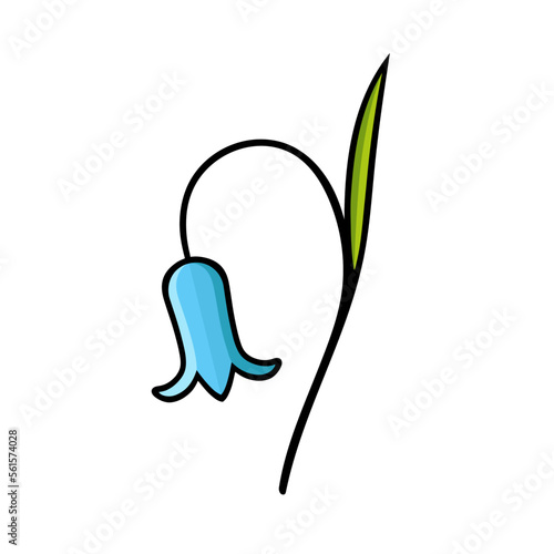 Bluebell. Flower. Illustration of bellflower. Floral element isolated on white background.