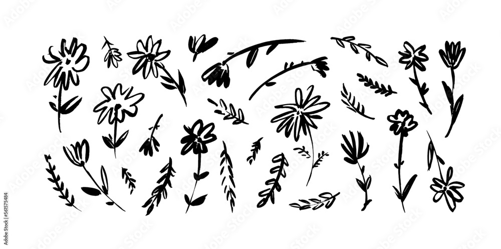 Brush drawn flower illustration isolated on white background. Small and simple meadow flowers. Wild plants with buds, branches and leaves. Vector simple floral elements. Freehand style. Brush drawn flower illustration isolated on white background. Small and simple meadow flowers. Wild plants with buds, branches and leaves. Vector simple floral elements. Freehand style.