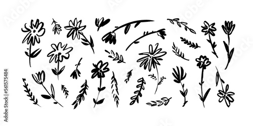 Brush drawn flower illustration isolated on white background. Small and simple meadow flowers. Wild plants with buds, branches and leaves. Vector simple floral elements. Freehand style.