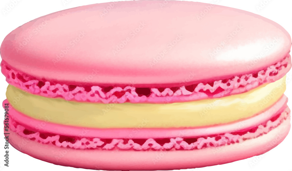 Macaron Detailed Beautiful Hand Drawn Vector Illustration Macaron Detailed Beautiful Hand Drawn Vector Illustration