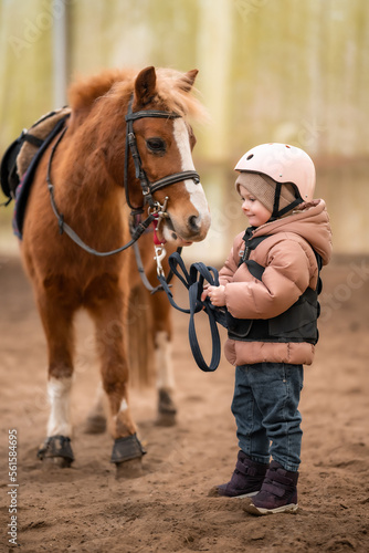 Portrait of little girl in protective jacket and helmet with her brown pony before riding Lesson