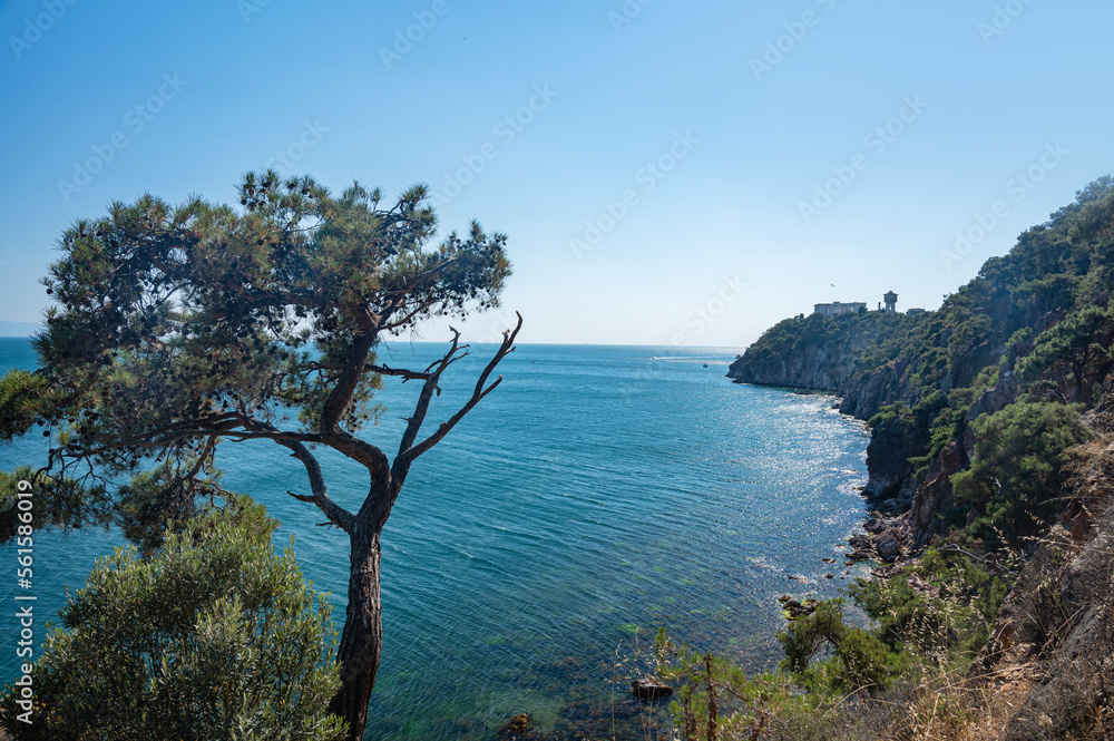 Beautiful panoramic view of the Black Sea, and the rocky coast with trees and pines on a sunny summer day.