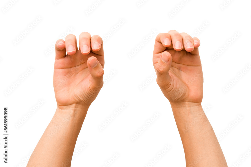 caucasian hands gesturing isolated on a white background caucasian hands gesturing isolated on a white background