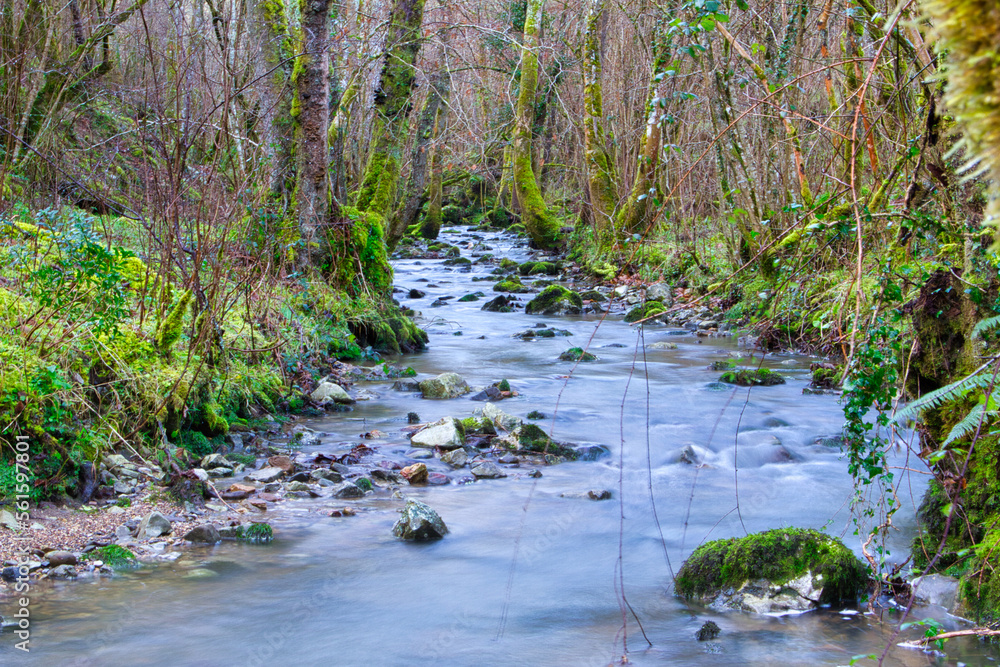 La Peña river, Sierra de Peñamayor, Nava, Asturias, Spain La Peña river, Sierra de Peñamayor, Nava, Asturias, Spain