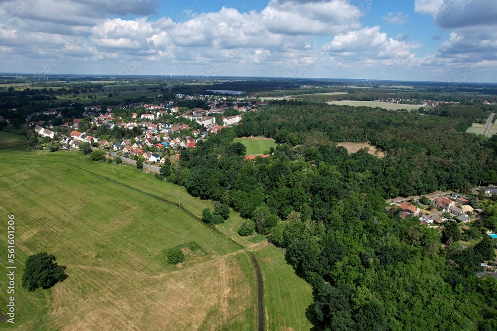 Bad Liebenwerda, Borstorfstraße 2022 Bad Liebenwerda, Borstorfstraße 2022