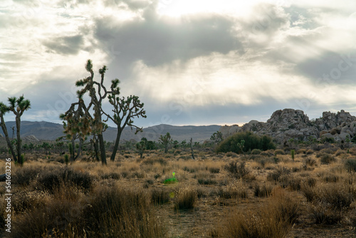 Sun peaking through clouds over Joshua Tree, National Park