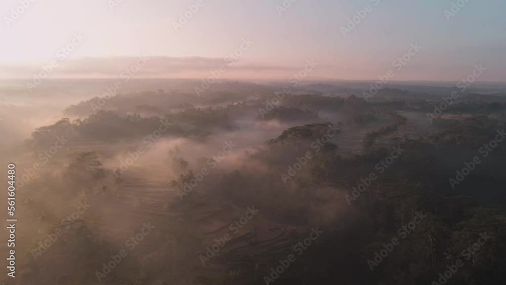 Fog in jungles with rice terraces on sunrise. Aerial view, drone footage Fog in jungles with rice terraces on sunrise. Aerial view, drone footage