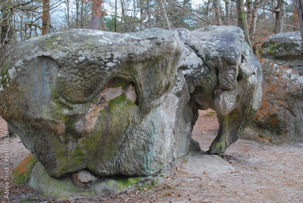 Barbizon Rocher Rocher de l'éléphant, forêt de Fontainebleau, Barbizon, France - the ...