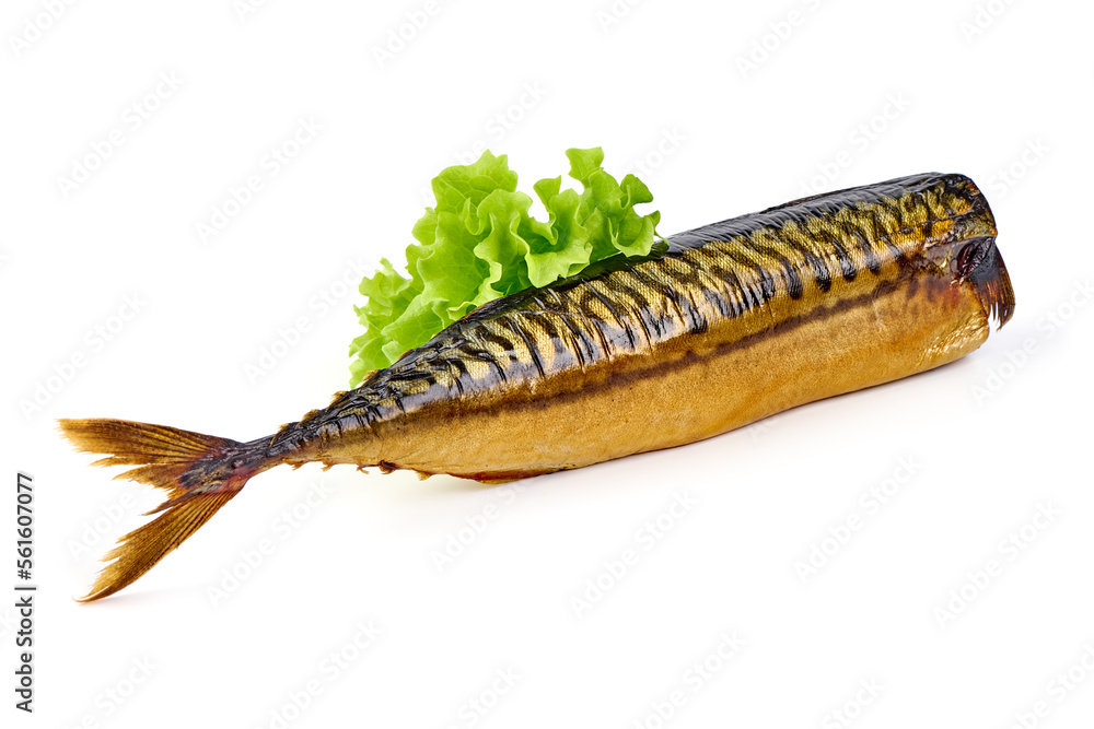 Cold smoked mackerel, close-up, isolated on white background.