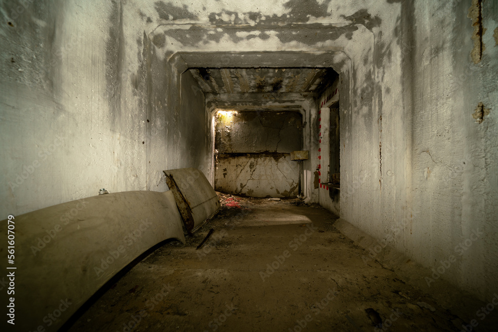 In Brandenburg, history isn't just told, it's hidden underground in old bunkers! Imagine strolling through the woods and stumbling upon a bunker from the Cold War In Brandenburg, history isn't just told, it's hidden underground in old bunkers! Imagine strolling through the woods and stumbling upon a bunker from the Cold War
