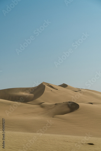 Portrait of Paracas sand dunes  Peru