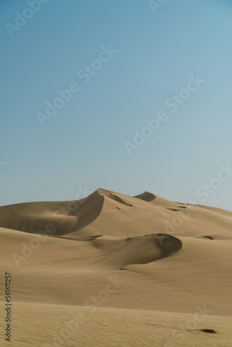 Portrait of Paracas sand dunes, Peru