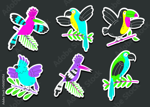 Exotic bird jungle parrot tropical summer style cute stickers animal isolated concept set. Vector cartoon graphic design element illustratio