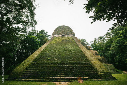 Staircase of temple V in Tikal mayan city photo