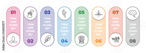 nature infographic element with outline icons and 8 step or option. nature icons such as asian, sunny protic, natural energy, fertilize clinic, fasciculate, pinnation, briar leaf, human brian