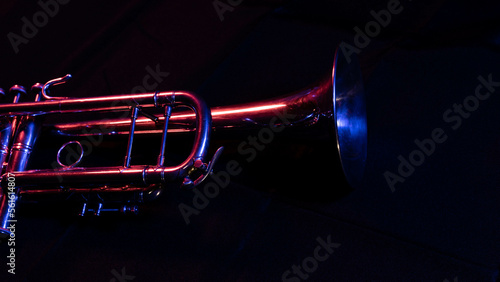 Trumpet in the Dark