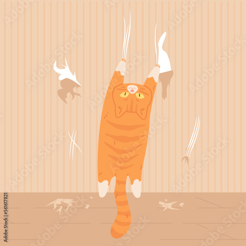 Cat scratching wall. Sliding down or hanging kitten on claw slashed wallpaper, pet animal behavior problems, scared kitty climb destroying walls funny character vector illustration