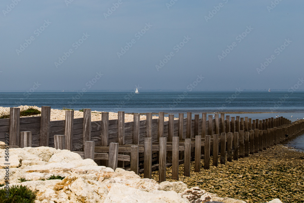 Fototapeta premium beach and sea