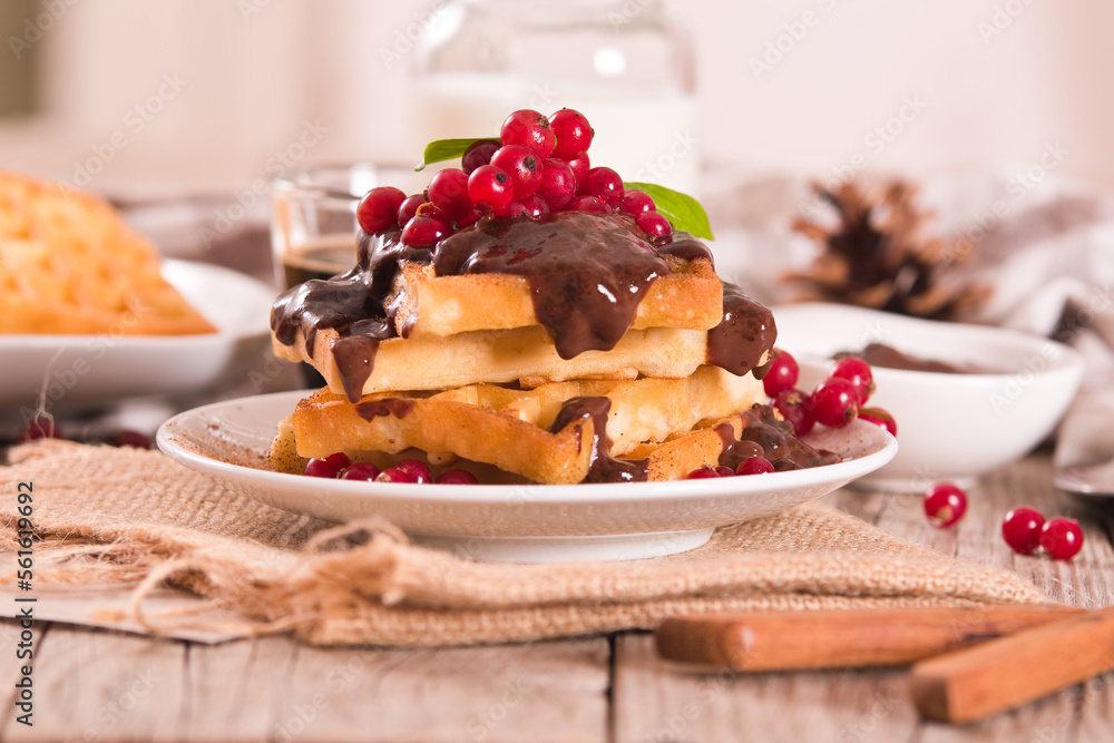 Waffle with red currant and chocolate topping on white dish. Waffle with red currant and chocolate topping on white dish.