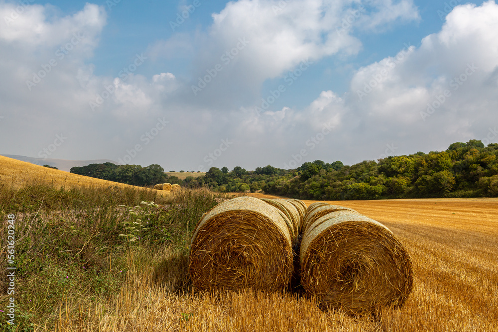 Hay Bales in the South Downs on a summer's day