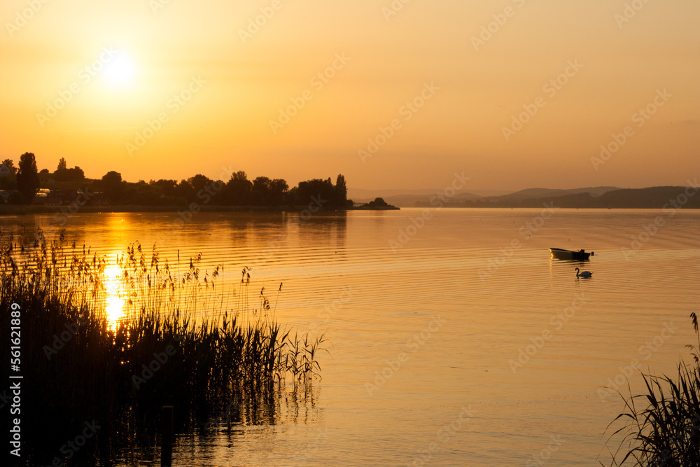 sundown at lake constance in germany in yellow and black